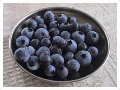 09182003_blueberries.jpg