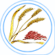 icon-red-yeast-rice.gif
